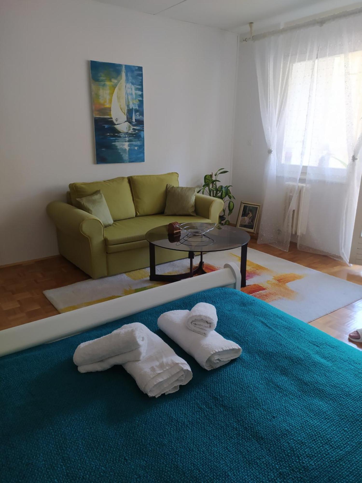Alea Studio Apartment&Garage In The Heart Of SJJ Extérieur photo